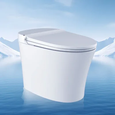 White Ceramic Villa Lower Cistern light smart toilet