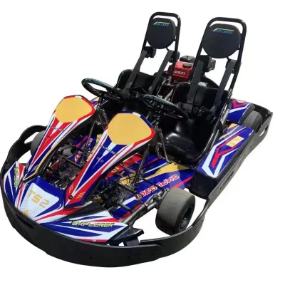 Wholesale Cheap Price on Two Person Karts Rental Kart TS22-EV DOUBLE SEAT Electric Go Kart Outdoor Amusement Park 60km/hr