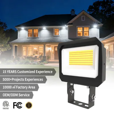 High Quality Projector Energy Saving Outdoor Waterproof IP65 Aluminum SMD 60W 80w Pole/Wall Mounted LED Flood Lights