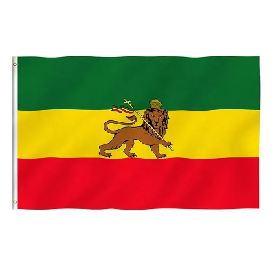 Custom 90x150cm 3x5 Ft Ethiopia Flag Lion of Judah Indoor Outdoor National Country Ethiopian Lion Flag