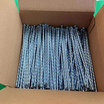 Polished 8 Inch Turf Nails Galvanized Tent Tent Style with Smooth Shank Checkered Head Cartons Packaging for American Market