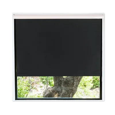 Blackout Waterproof Fabric Thermal Insulated Roller Blinds,UV Protection Window Curtains for the Living Room,Office and More