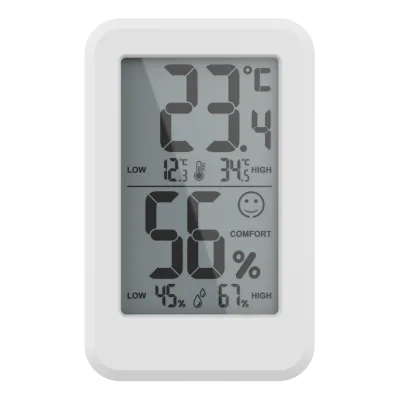Professional Weather Thermometer with Dual Display - Indoor & Outdoor, Track Daily High and Low Temperatures Accurately