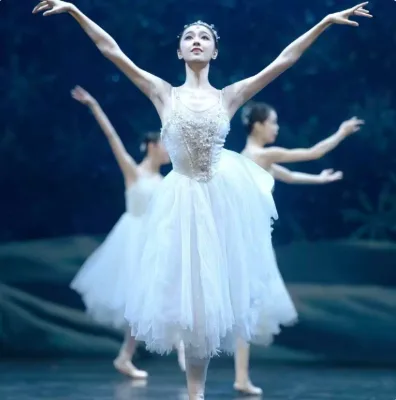 Women White Spaghetti Strap Embellished Romantic Long Ballet Tutu Dress Swan Lake Ballerina Stage Performance Costume