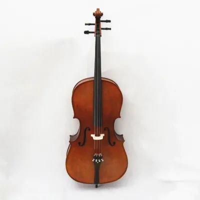 Wholesale Available Charm Cello Musical Instrument Cello Instrument Solid Wood Universal Cello