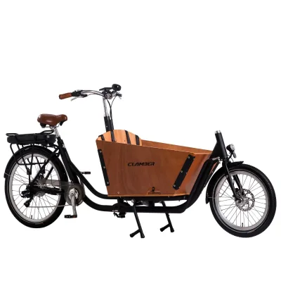 Dutch Popular Cargo Bike 3 Wheels Electric Tricycle Bakfiets with Carriage