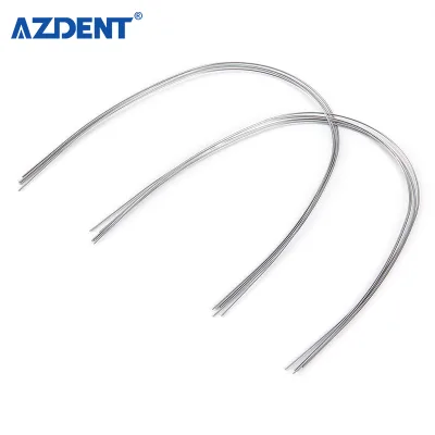 Hot Sale China AZDENT PLUS Dental Archwires for Orthodontics