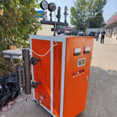 High Efficiency 50 Kg/h Automatic Steam Boiler Low Fuel Consumption for Hotels and High Pressure Industrial Use