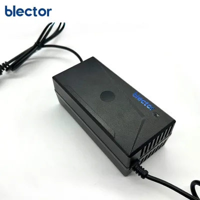 Blector New Updated 60V 3A Portable Battery Charger for Moped with 110V-220 Input Voltage Battery Charger