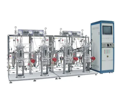 CRTOP Airlift Bioreactor Laboratory Bioreactor Stainless Steel Bioreactor