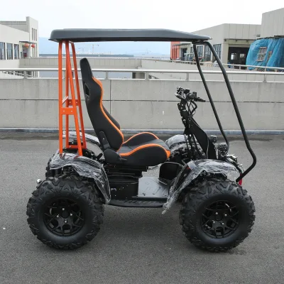 Heavy Duty 4 Wheel Mobility Scooter 6000W All Terrain Electric Scooter with DDP Door to Door Service