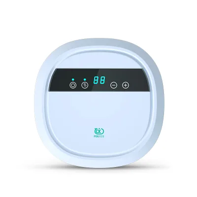 Car Ozonator Ozone Sterilization Vegetable Washing Machine Ozone Vegetable Washing Machine