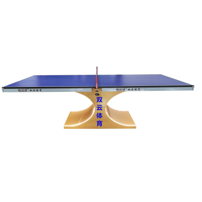 25mm Patent Professional Indoor Table Tennis Table