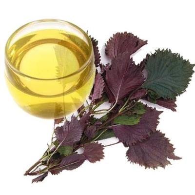 Wholesale Cold Pressed 100% Natural Perilla Seed Oil in Bulk