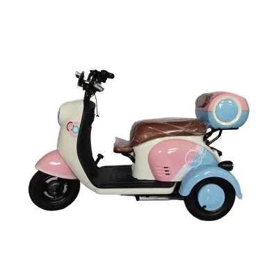 China-Made Home Leisure 500W Motor Three-Wheeled Open Body Cargo Electric Tricycle