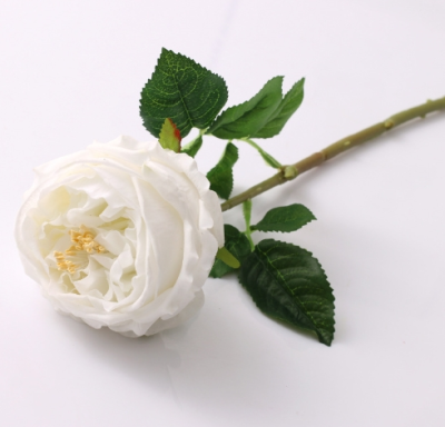 The Factory Supplies High-end Austin Style Moisturizing Roses for Sale