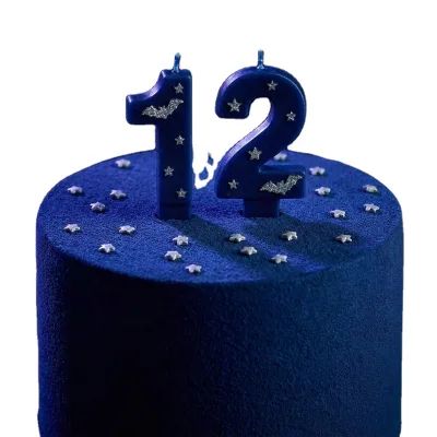 Midnight Starry Sky Birthday Candles - Silver Glitter Bat Details - Premium Smokeless 0-9 Halloween Candle Set