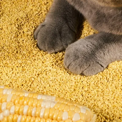 All-Season Biodegradable Eco-Friendly Millet Cat Litter Moisture Trapping Granules Custom Aroma Shade Dustproof OEM