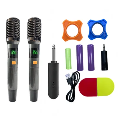 Microphone System Receiver Professional Wireless 2 MIC Noise Cancel Karaoke Meeting Room Anti Cross Frequency