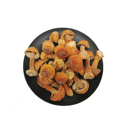 Best Quality Dried Agaricus Blazei