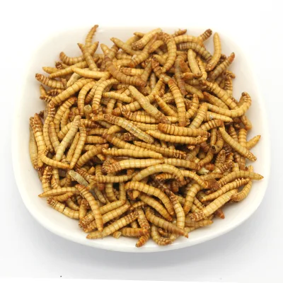 Freeze Dried Mealworm Bird Food