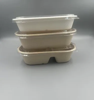 Biodegradable Rectangle Sugarcane Pulp Bagasse Food Container Sugarcane Fiber for Hotel Restaurant