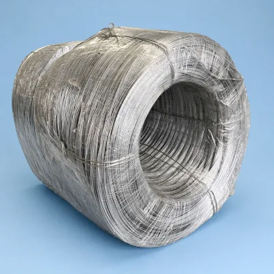 Factory Supplier 2mm 2.5mm 3mm 3.2mm 4.0mm 6mm Zinc Coating Wire Flexible Galvanized Steel Wire for Industry