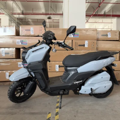 Wholesale 60V 30Ah Lithium Battery Electric 1500W Peak Powerful Sports E Bike for Adults OEM Custom Available