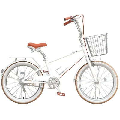 Wholesale Price White Reinforced Carbon Steel Gearshift Vintage Style 18-24" Ladies Recreational Commuting Bicycle Variable