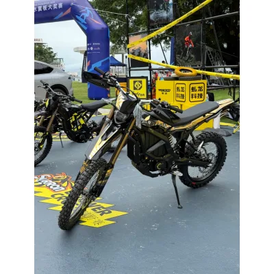 In Stock 2026 ultra Bee Off Road 24.5KW 74v 60ah Electric Motorbike Pit Bike Pit Bike Cross Off-road Motorcycle