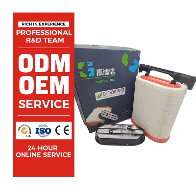 GAO LVJIE Delong M3000 X5000 Cellular Air Filters Model DZ96259191789 and DZ96259191790