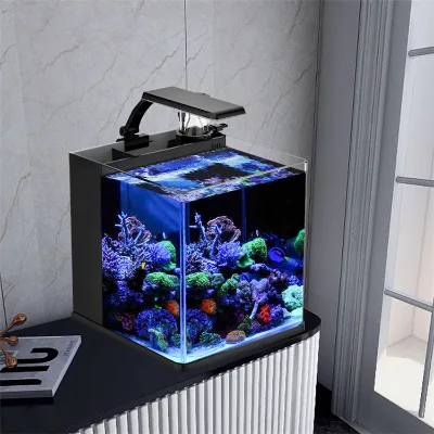 Ultra Clear Glass Mini Salt Water Marine Aquarium Fish Tank for Marine