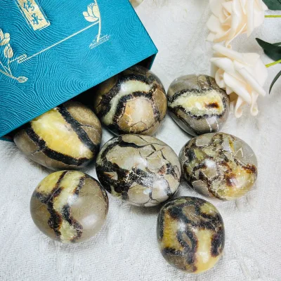 Wholesale Polished Septarium Palm Stone for Home Decoration and Health