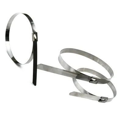 Premium 316 Stainless Steel Tie 4.6x150mm Anti-rust High Temperature Resistant Metal Wrap for Industrial Fixing