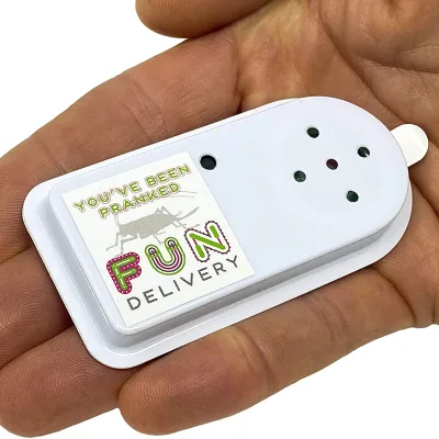 Prank Sound Gags Annoying Chirping Joke Gag Prank Battery Noise Maker for Crafts Cat Noise Maker Prank