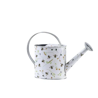 Wholesale 7 Ltr Watering Can Supply Galvanized With Powder Coated Finished Design Luxury High Quality Metal Watering Can