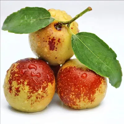 Frest Fruit Crispy Winter Jujube