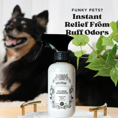 Stain Odor Remover for Strong Odor Enzyme Pet Odor Eliminator for Home Cats Dog Pee Dog Urine Destroyer Carpet Cat Stain Spray
