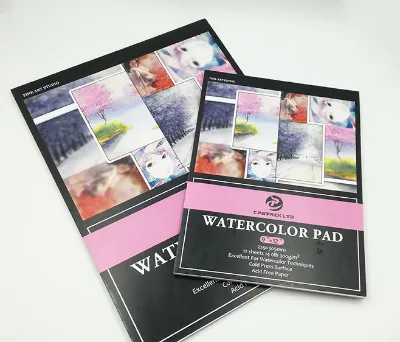 Watercolour 300gsm A4 Paper, Cold Pressed, Spiral Pad Short Side,12 White Sheets, Ideal for Professional Artists