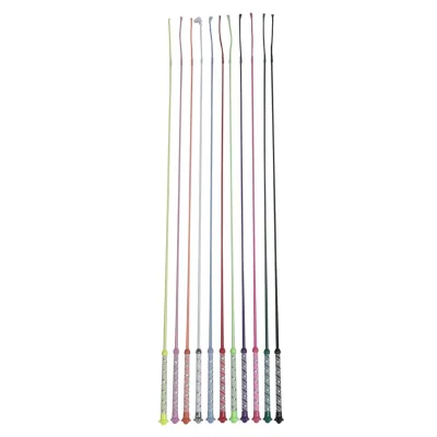 EQUIZONE W50252S Dressage Whips for Equestrian Training