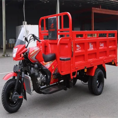 Custom Three Wheel Motorcycle