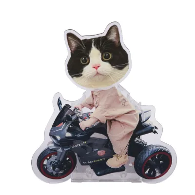 Custom Printed Double Sided Cute Cartoon Animal Mascot Angel Love Music Quicksand Acrylic Standee DIY Plastic Crafts