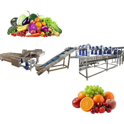 Potato Cleaning Grading Sorting and Packaging Machine Vegetable Sweet Potato Washing Machines