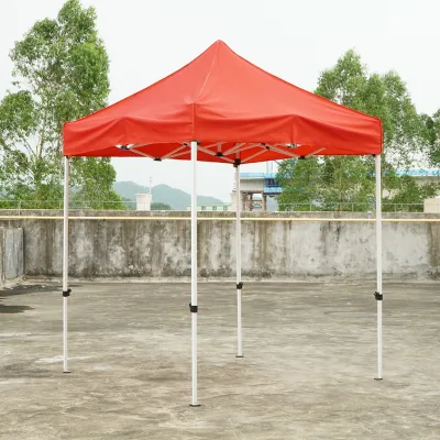 2025 NEW YX Instant Shelter Car Garden Folding Tent Canopy Beach Tent with Removable Sunwall