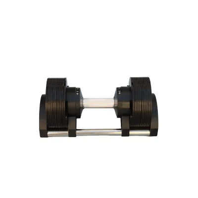 WENDY 1kg Incremental Steel Plate Adjustable Dumbbell Electrophoretic Paint in Black Color