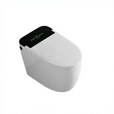 High Quality Low Price Elongated One-piece Ceramic Siphon Smart Toilet Dual-Flush Remote Control Floor Mounted Modern Design