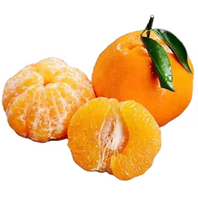 Wholesale Mandarin Fresh PaPa Mandarin Orange Fresh Orange Mandarin Fruit Sweet Oranges
