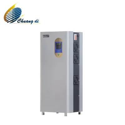 Hot Selling Ozone Generator Pool Disfection Equipment AQUA QHW Series