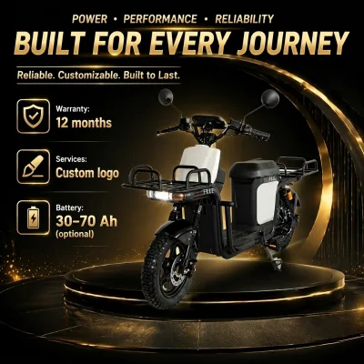 Double Takeout Rack 1000w Heavy Duty Cargo Van 60V Li-ion Battery with Charger 55km/h Speed 300KG Electric Cargo Bike