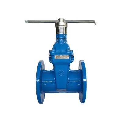 RDLX-16Q Ductile Iron Resilient Seated Gate Valve PN16 Industrial Manual Valve for Water/Wastewater Systems Anti-Theft Design